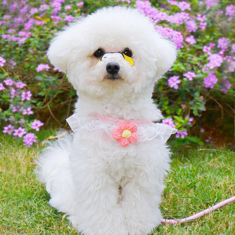 Dog Hand Holding Rope Small Dog Vest
