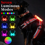 Night Dog Walking Vest LED Explosion-proof Dog's Straps