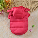 Small Dog Bread Down Cotton Jacket