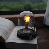 Shell Sea Conch Lamp