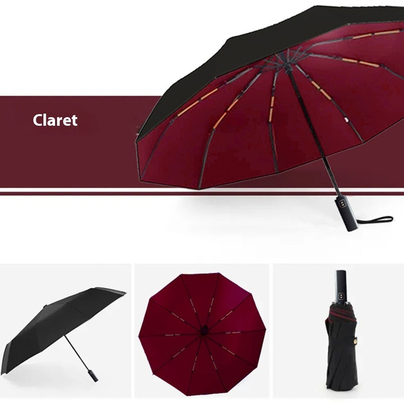Double-layer Automatic 10-bone Double-bone Sunny Umbrella