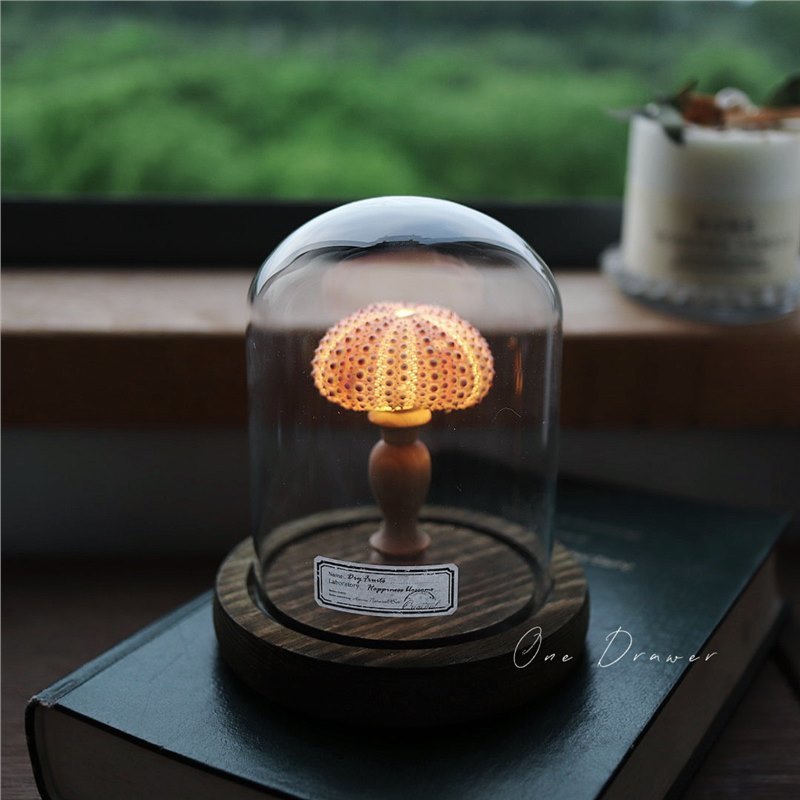 Shell Sea Conch Lamp