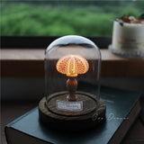 Shell Sea Conch Lamp