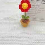 Hand-woven Mini Potted Office Decorations Wool Finished