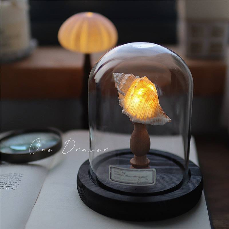 Shell Sea Conch Lamp