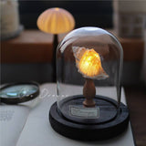 Shell Sea Conch Lamp