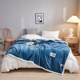 Simple And Stylish Warm Milk Velvet Blanket