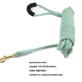 Portable And Simple Printing Pet Hand Grip Rope