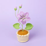 Handmade Wool Knitted Flower Pot
