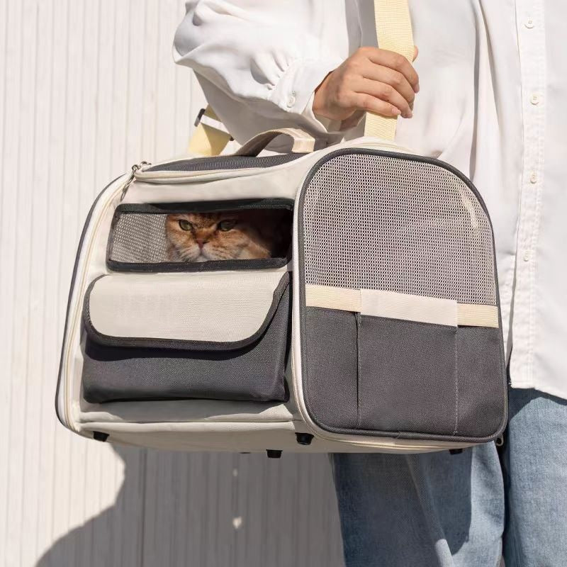See Through Breathable Large Capacity Out Portable Pet Bag Foldable