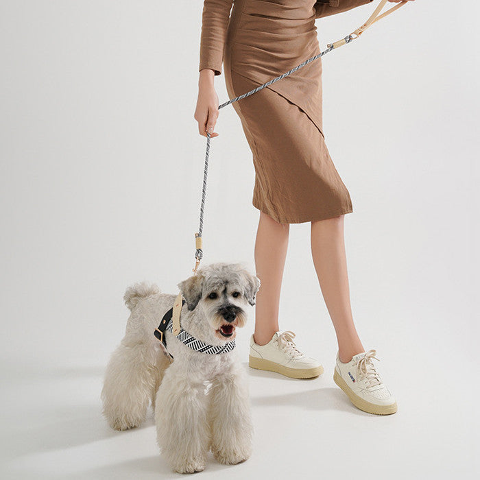 Dog Hand Holding Rope Pet Harness Chain