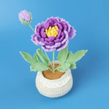 Handmade Wool Knitted Flower Pot