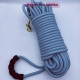 Portable And Simple Printing Pet Hand Grip Rope