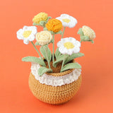 Handmade Wool Knitted Flower Pot