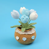 Handmade Wool Knitted Flower Pot
