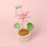 Handmade Wool Knitted Flower Pot