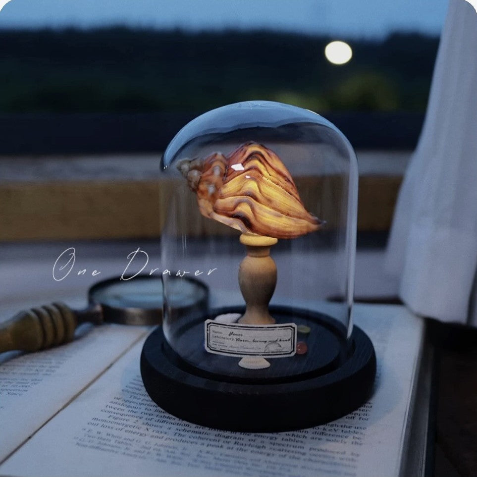 Shell Sea Conch Lamp